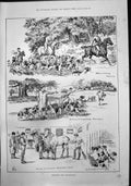 Old Print Preparing Cub-Hunting Early Morning Exercise Young Hounds 1888 19th