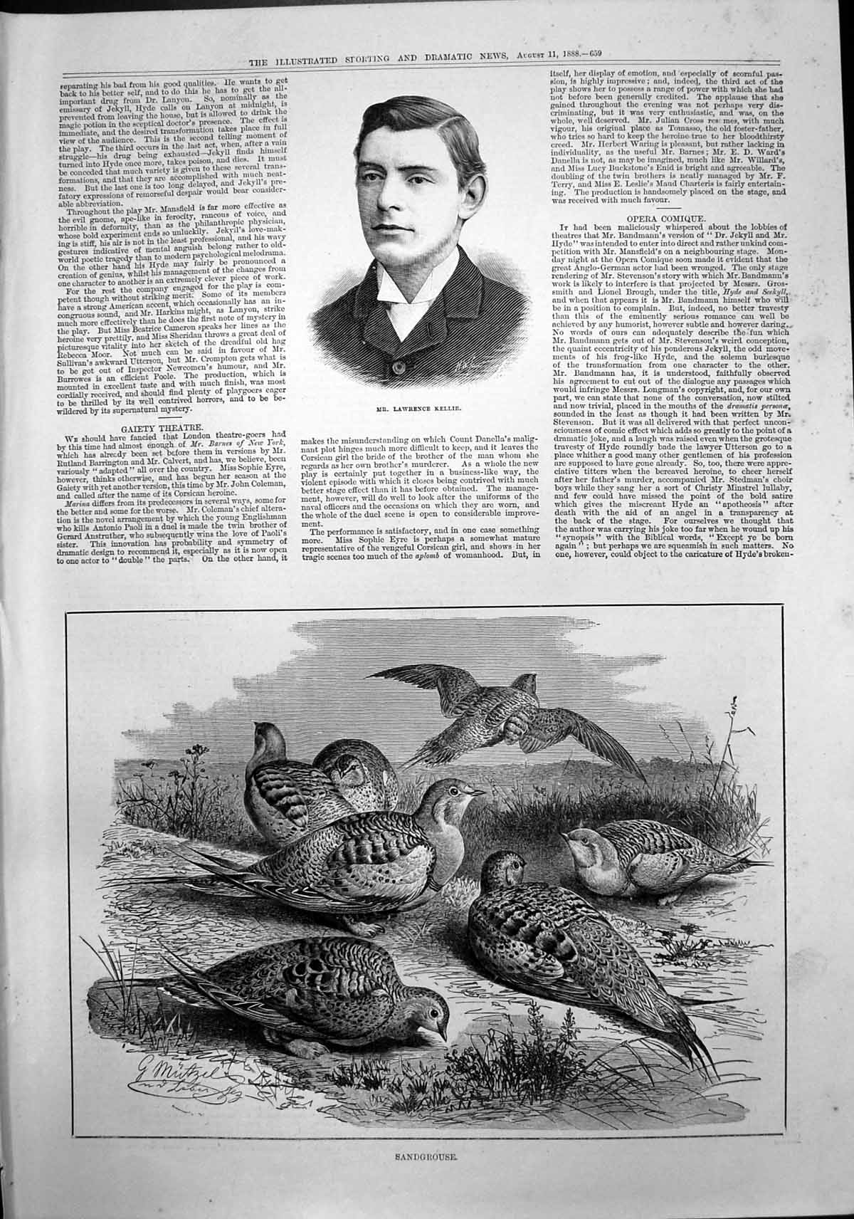 Original Old Antique Print Lawrence Kellie Composer Singer Sandgrouse 1888 19th