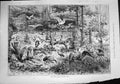 Old New Aviary Zoo Coliseum West Brompton Gladiator Chariot Racing188 Victorian