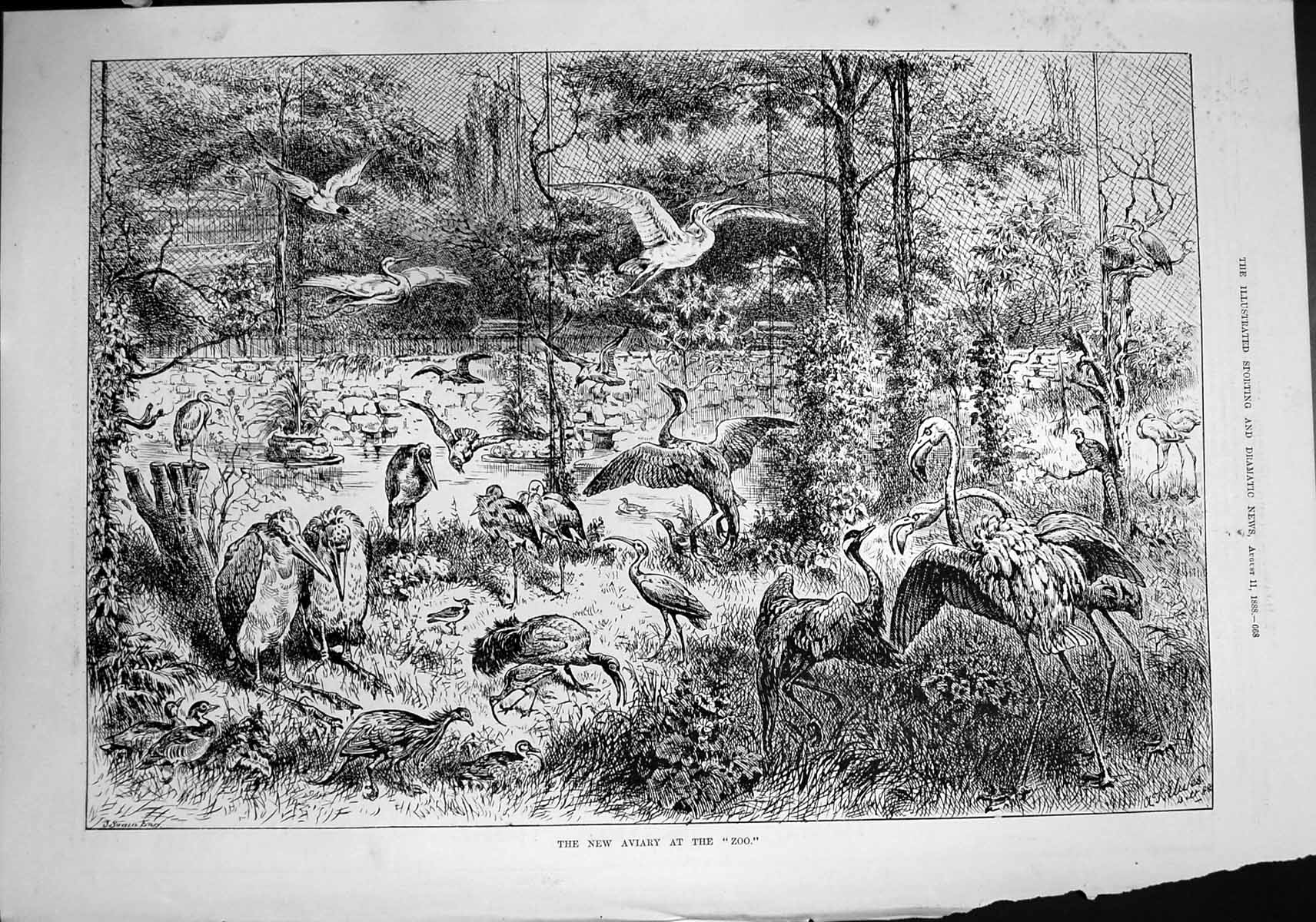Old New Aviary Zoo Coliseum West Brompton Gladiator Chariot Racing188 Victorian