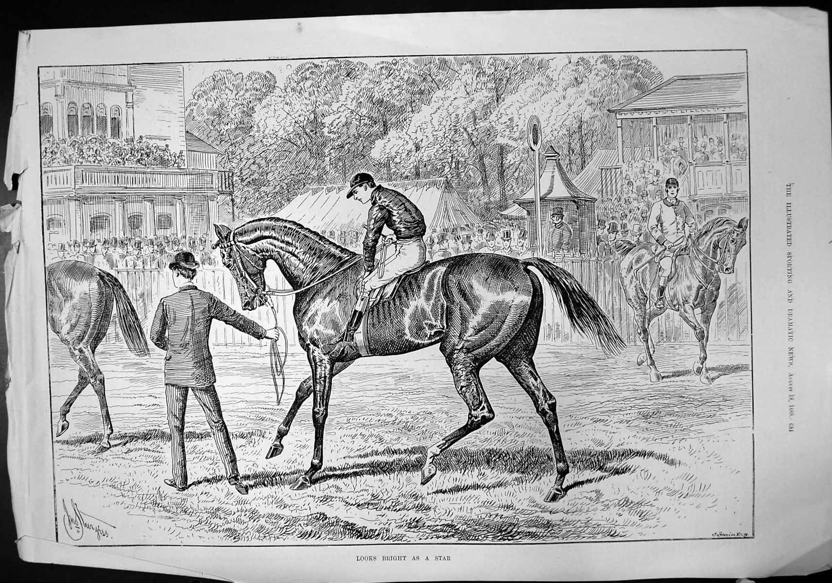 Old Looks Bright As Star J Sturgess Leading Horse Jockey Start Race