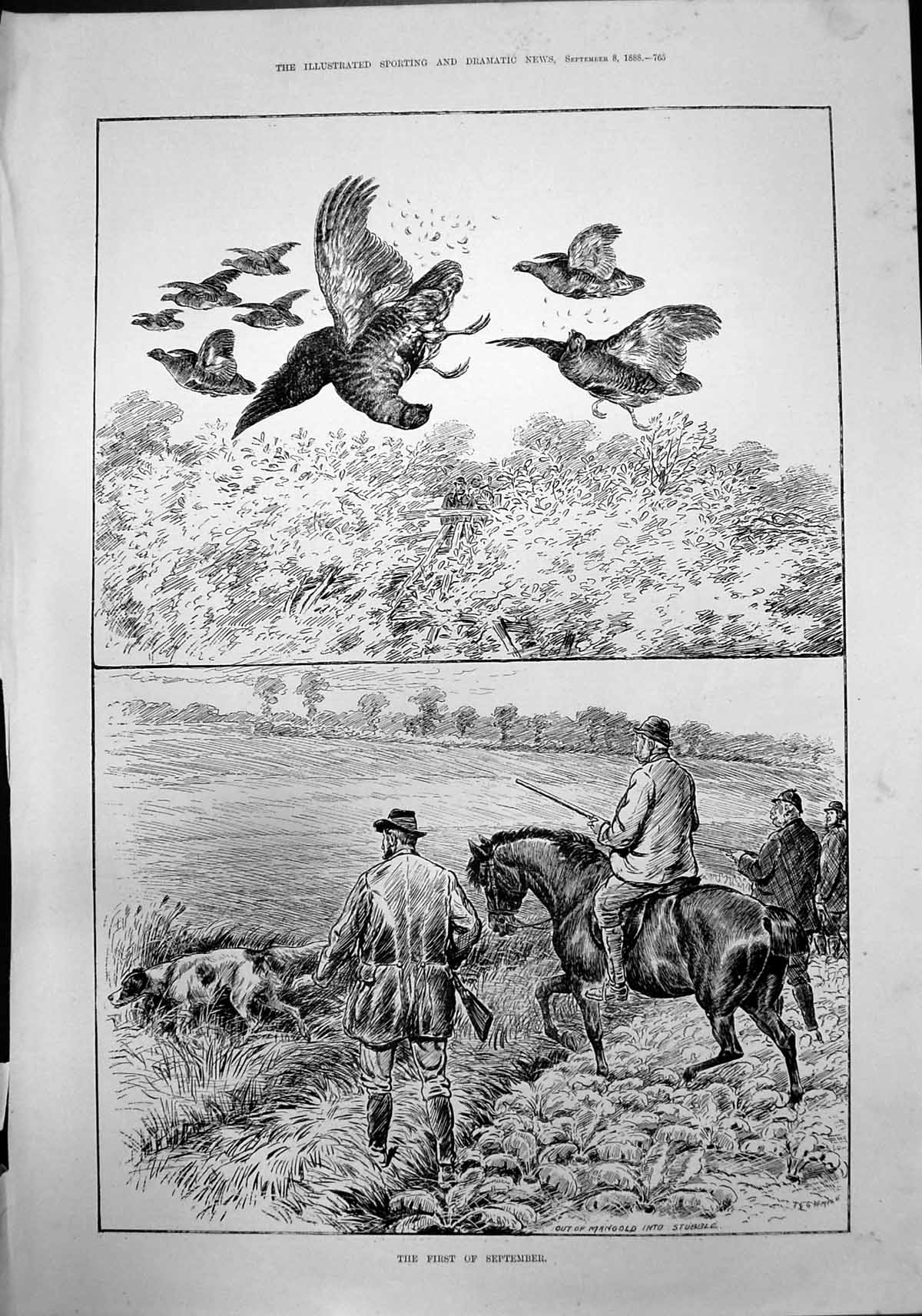 Antique Old Print First September Out MangInto Stubble Shooting Birds 1888 19th