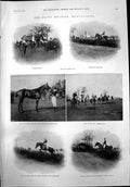 Old Grand Military Point Point Obriens Baccarat J Forbes Veterans 1899 19th