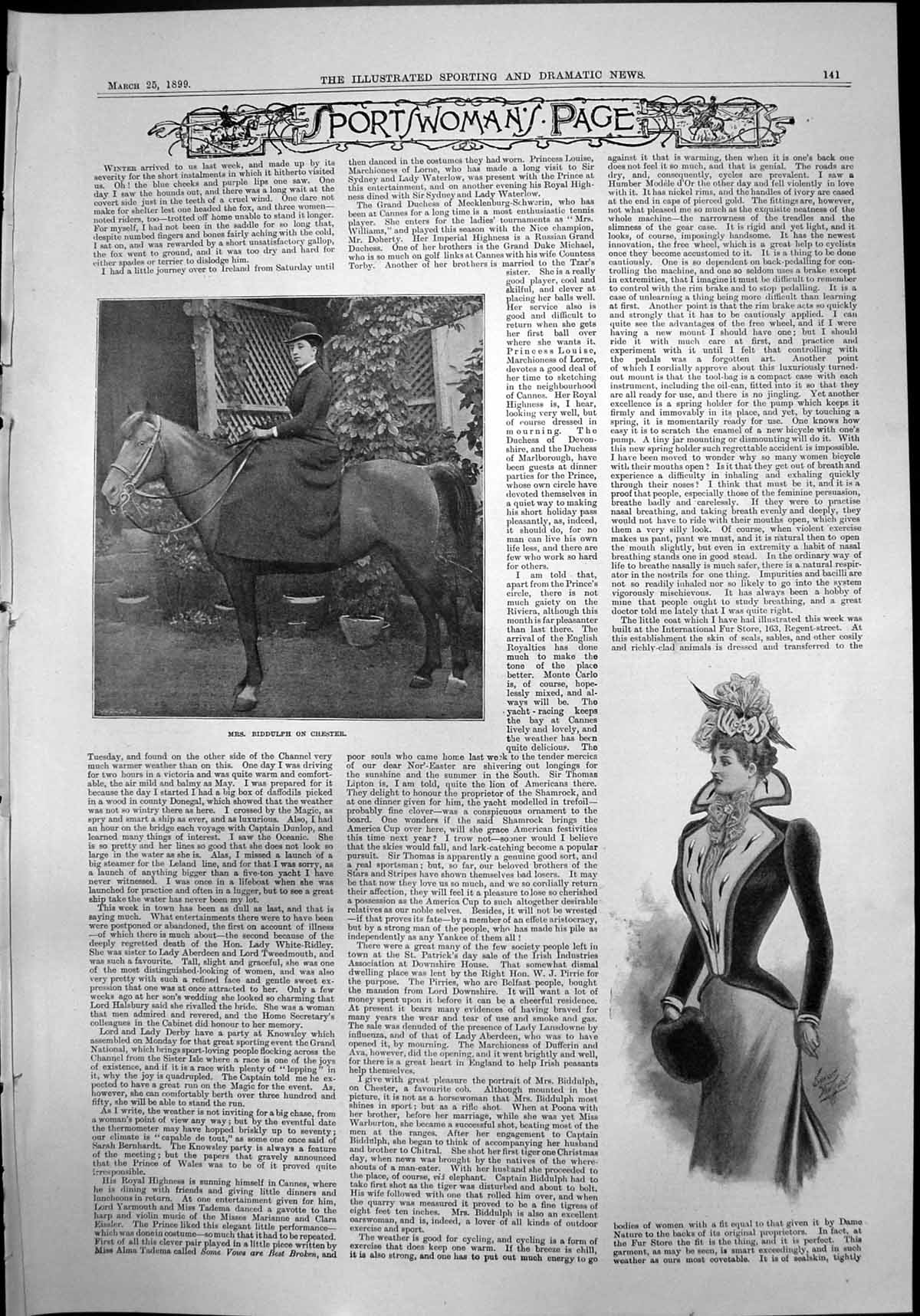 Old Mrs Biddulph Horse Chester Sir Robert Menzies Mr F N Menzies 1899 Victorian