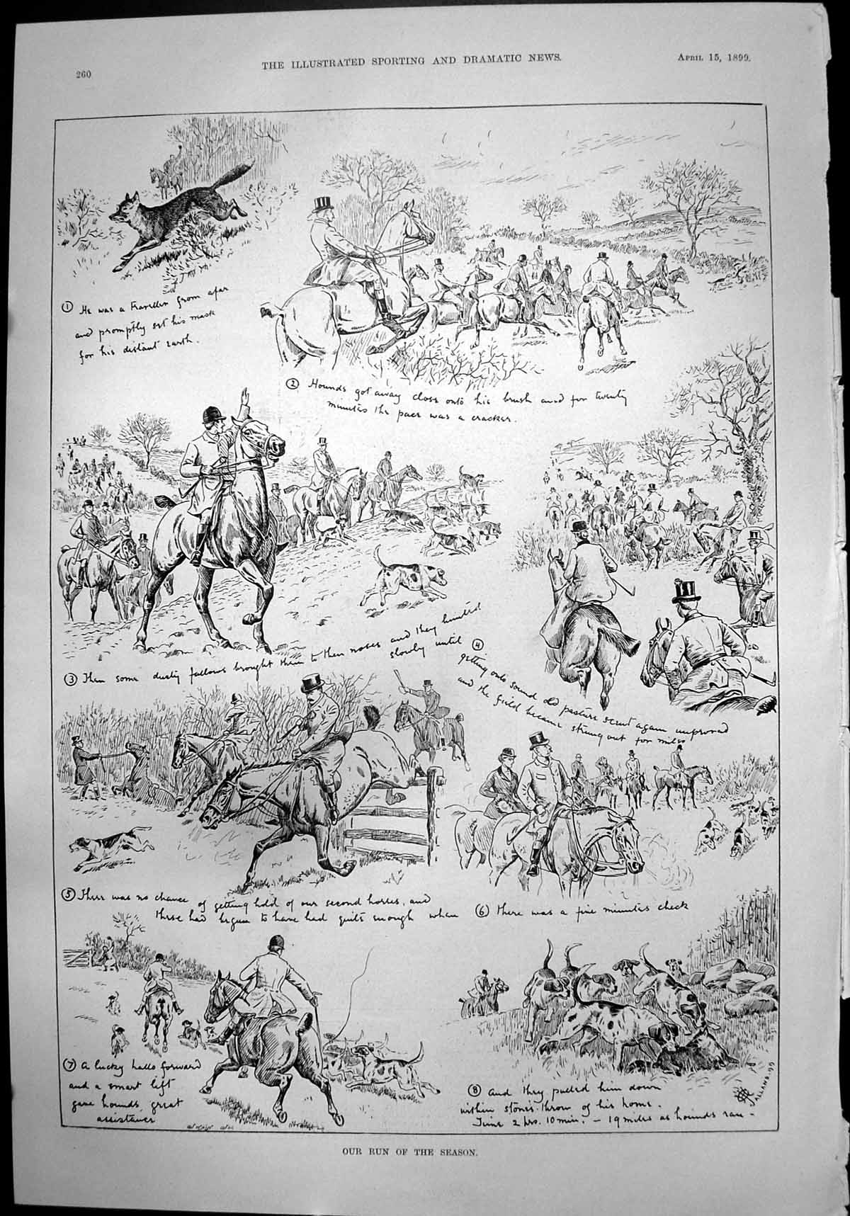 Old Run Season Hunting Hounds Fox English Toy Spaniels Chihuahua 1899 Victorian