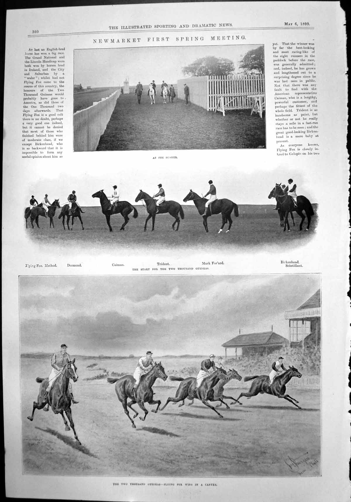 Old Print Newmarket First Spring Meeting Flying Fox Desmond Trident 1899 19th