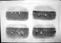 Antique Print Cycle Polo Gymkhana Dublin Rathclaren Fitzwilliam Oswald 1899