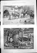 Old Changing Horses Carriage Boycotted Pigs Boy Late Alfred Bryan 1899 19th
