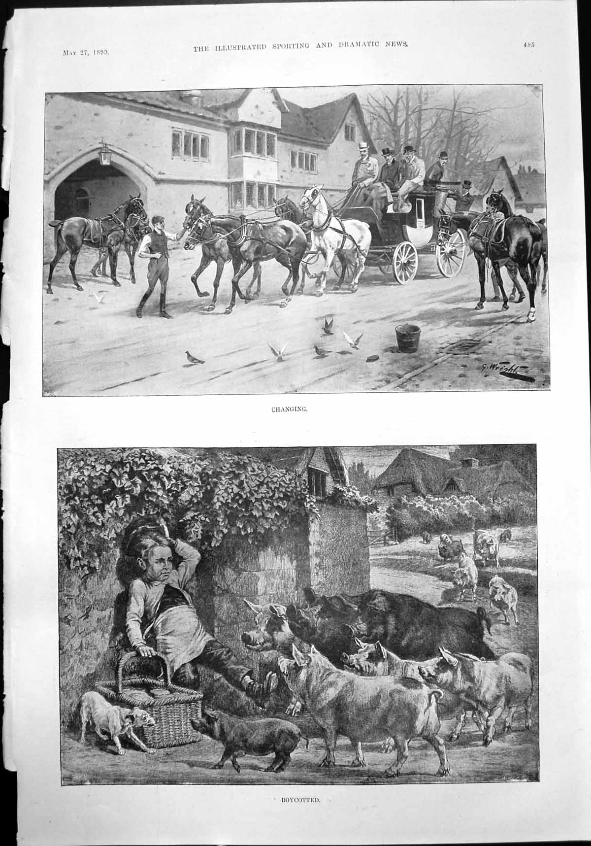 Old Changing Horses Carriage Boycotted Pigs Boy Late Alfred Bryan 1899 19th