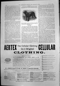 Old Nenagh Lord Elys Flat Coated Retriever Aertex Cellular Clothing1899 19th
