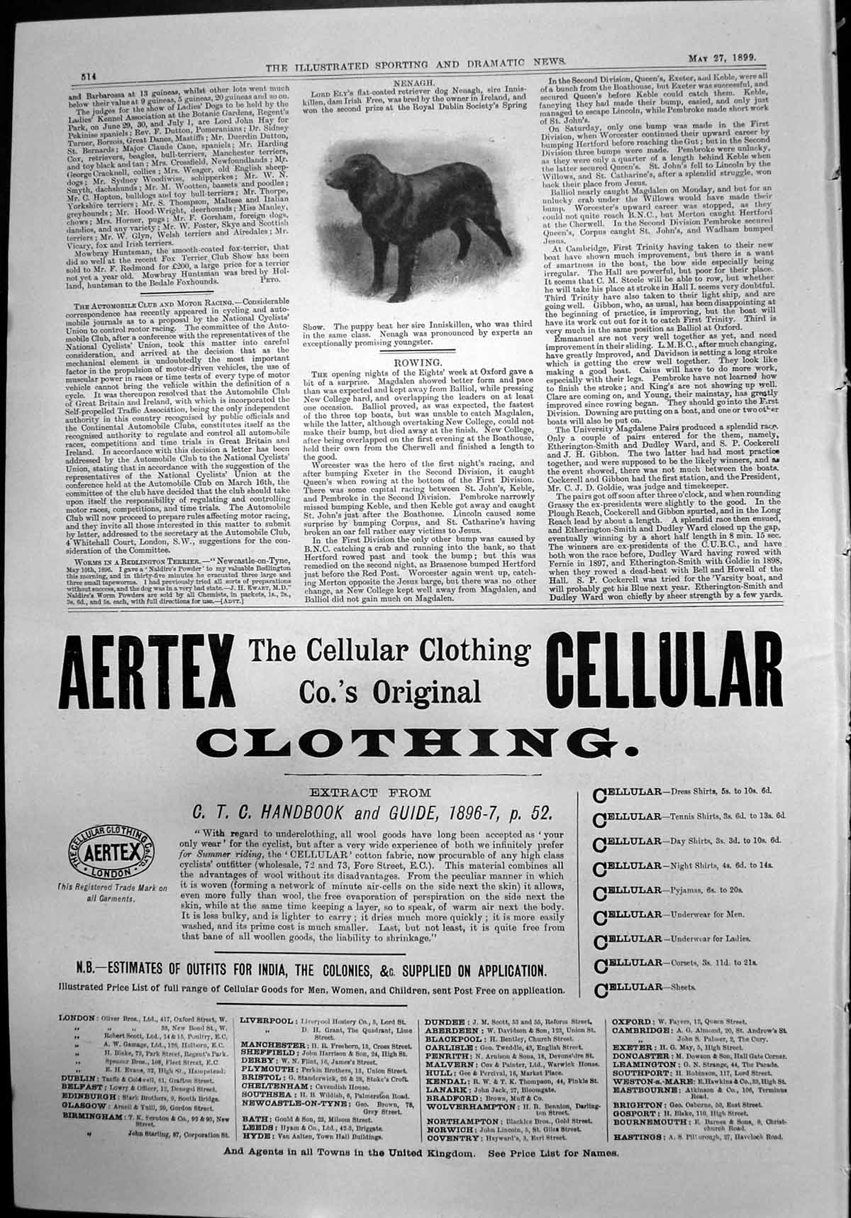 Old Nenagh Lord Elys Flat Coated Retriever Aertex Cellular Clothing1899 19th