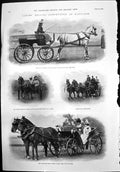 Old Ladies Driving Competition Ranelagh F Hastings Days F Davis 1899 Victorian