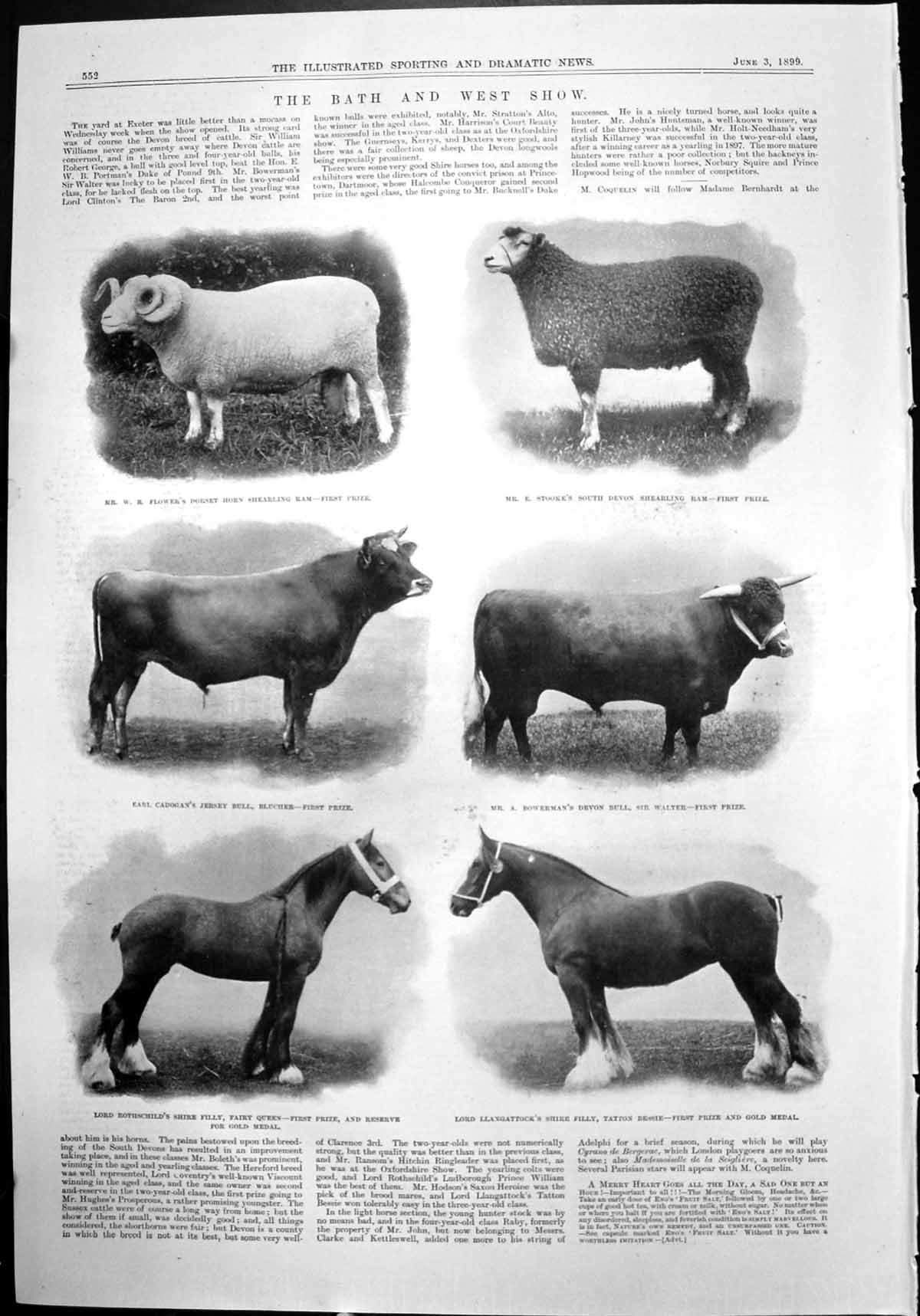 Antique Old Print Bath West Show Sheep Cattle Horses Meet Coaching Club 1899