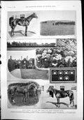 Old J Porters Racing Stables Kingsclere Flying Fox Horseshoes Butter1899 19th