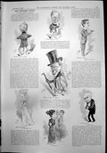 Old Print Little Ray Sunshine Jessie Bateman New Zealand Stud Farm T Morrin1899