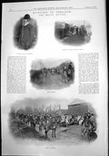 Old Print Hunting Ireland Meath Hounds Dog Show Brighton St Bernard 1899 19th