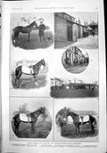 Antique Old Print Racing Stables George Lambton Bedford Lodge Newmarket 1899