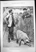 Old Print Two Men Killing Pig Gunning King Mrs Allan Gardner Koodoo 1899 19th