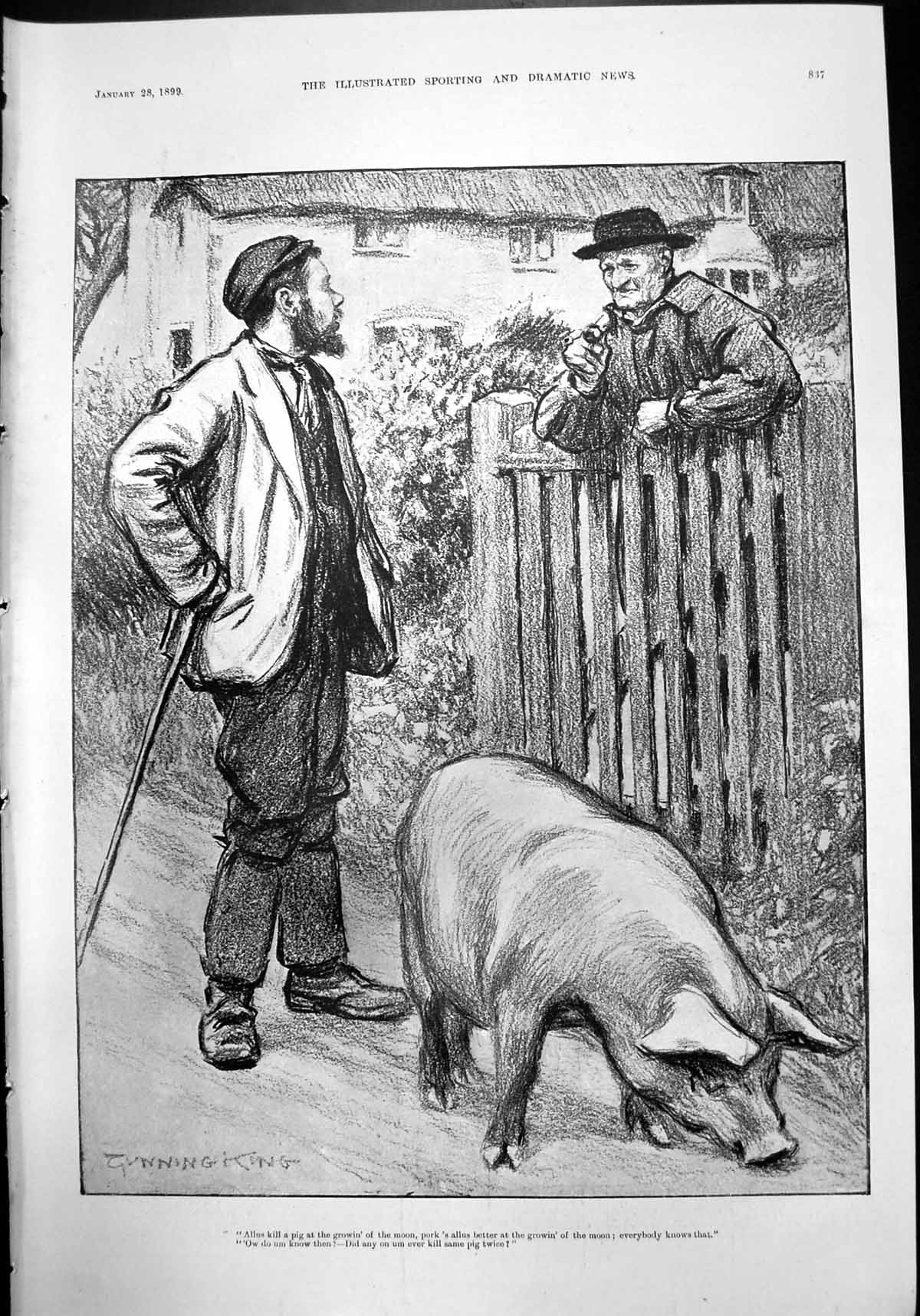 Old Print Two Men Killing Pig Gunning King Mrs Allan Gardner Koodoo 1899 19th