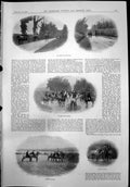 Print Kildare Hounds Miss Lily Pinckney Clifton Zebroid Cross Zebra Mare1899