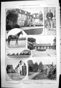 Old Print Racing Stables W Stevens Compton Newbury Berks Roden House 1899 19th