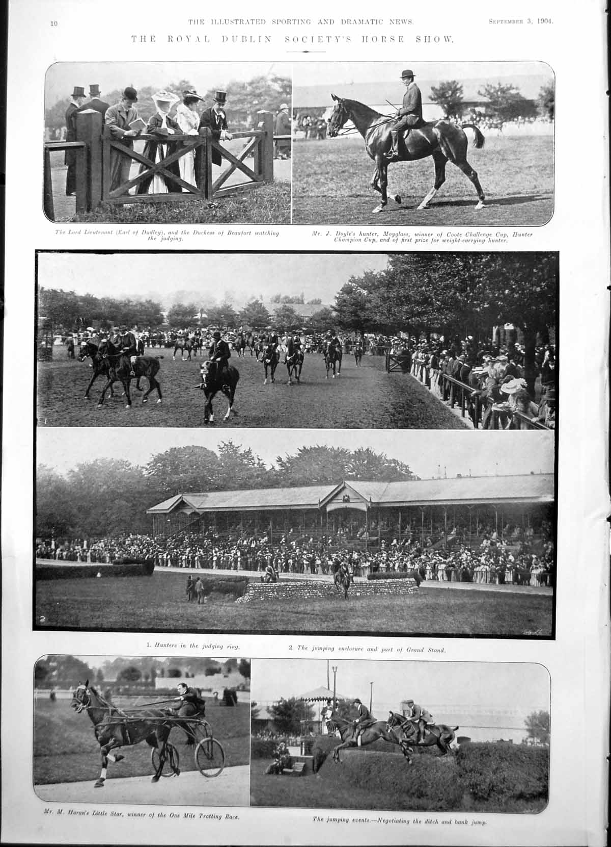 Old Print Royal Dublin Society Horse Show Lady Gentleman Reclining 1904 0 20th