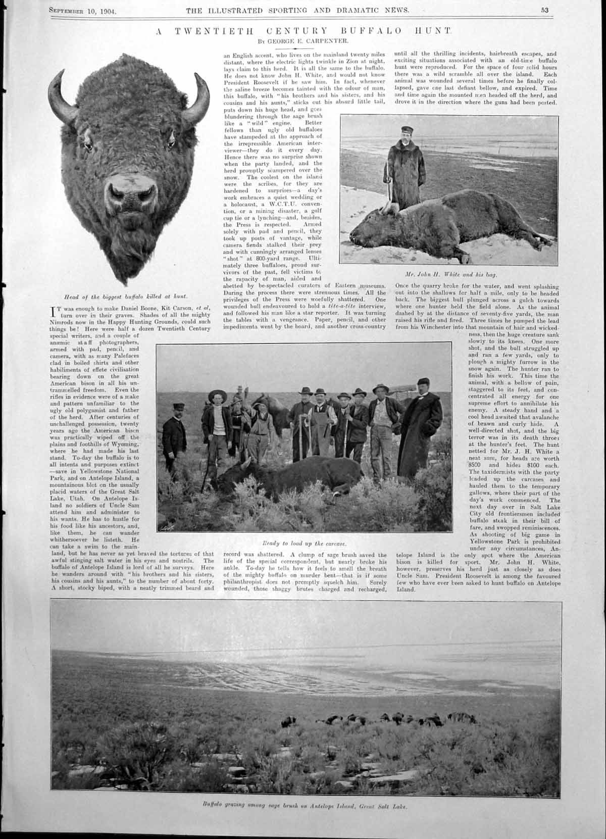 Old Twentieth Century Buffalo Hunt Salt Lake Horse Dining Room 1904 0 20th