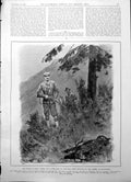 Old Antique Print King Portugal Deer Shooting In Sierra De Monchique 1904 20th