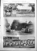 Antique Print Gw Fitzwilliams Foxhounds Horses Lady Gentleman Wounded 1904