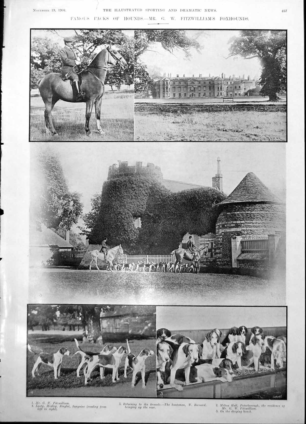 Antique Print Gw Fitzwilliams Foxhounds Horses Lady Gentleman Wounded 1904