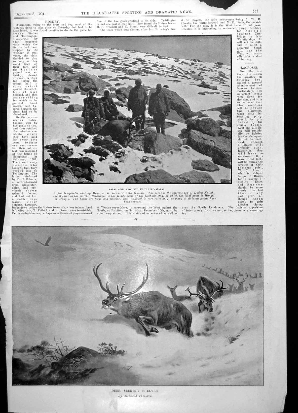 Old Print Barasingha Shooting Himalayas Deer Continental Sportsmen 1904 20th