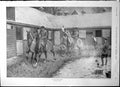 Antique Old Print Straw Ride G Wright Horses Hunting Centre Northampton 1904