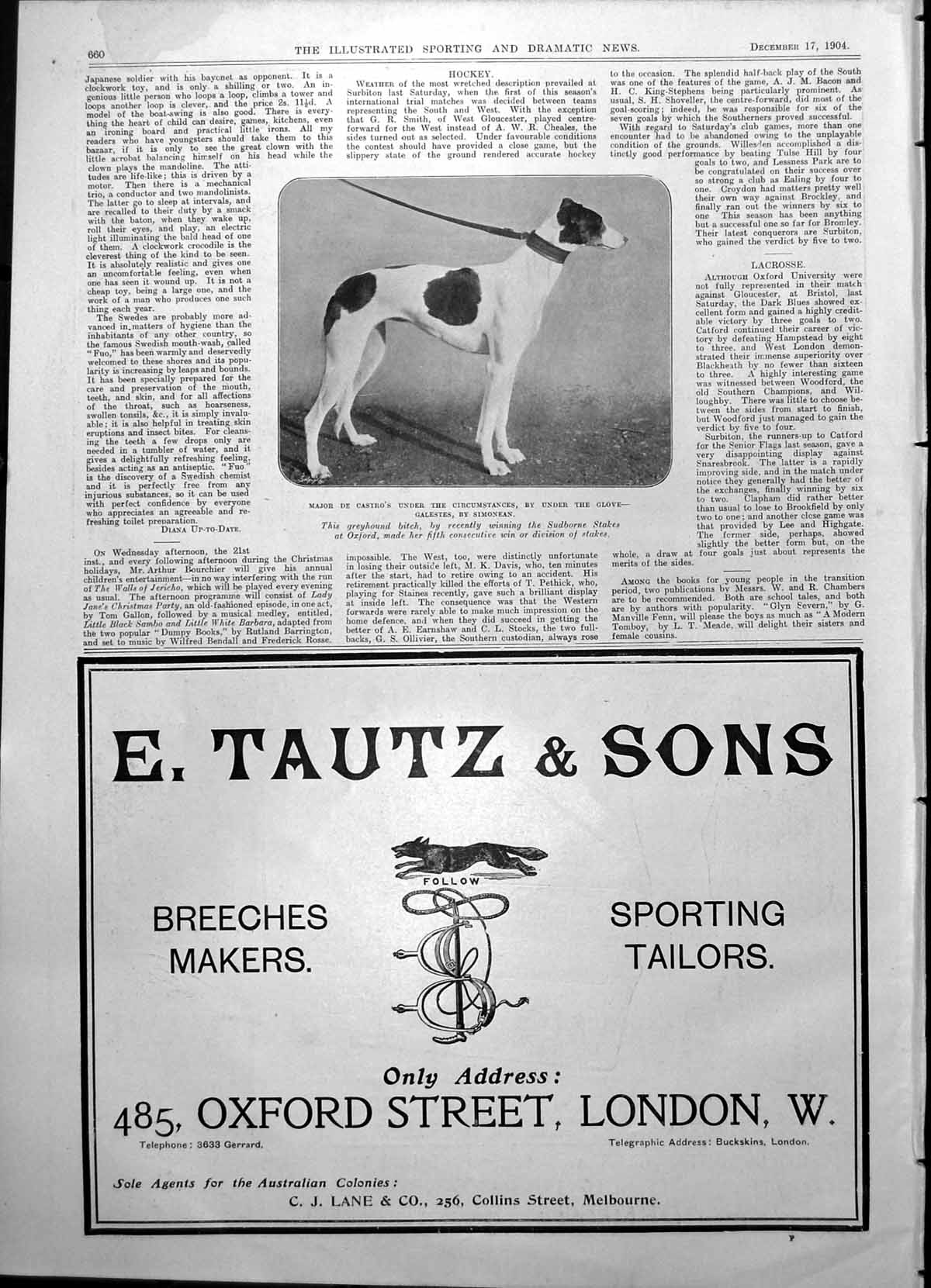 Antique Old Print Major De Castro'S Under The Circumstances Greyhound 1904 20th