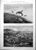 Antique Print Twelfth Studies Grouse To Butts Gliding Lady Jewellers 1904 20th
