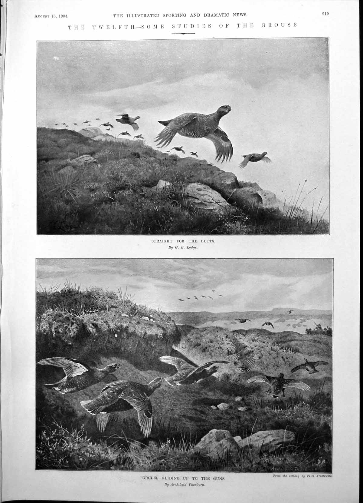 Antique Print Twelfth Studies Grouse To Butts Gliding Lady Jewellers 1904 20th