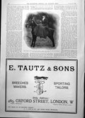 Antique Print Miss Dorothy Clarke On Black Gelding 1St Prize Brentwood 1904
