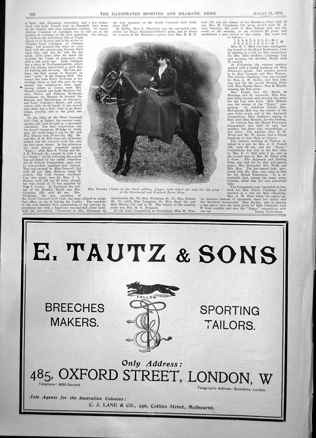 Antique Print Miss Dorothy Clarke On Black Gelding 1St Prize Brentwood 1904