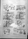 Antique Print Dropped Catch Trying Land On Pony From Tree Baited Food 1904 20th