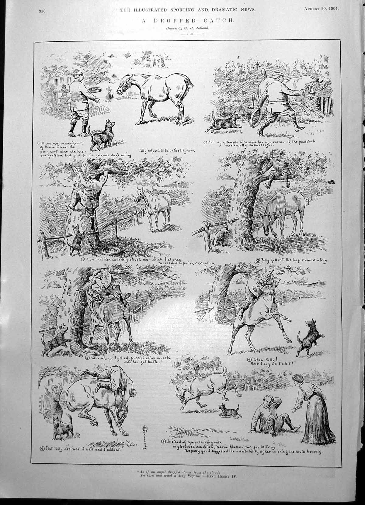 Antique Print Dropped Catch Trying Land On Pony From Tree Baited Food 1904 20th