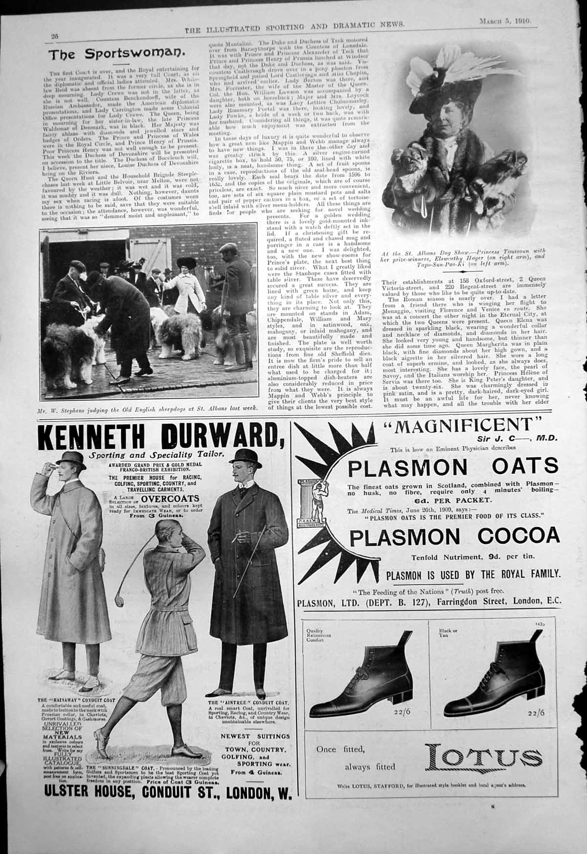 Old Print St Albans Dog Show W Stephens Sheepdogs Princess Toussoun 1910 20th