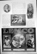 Antique Print Norman Spicer Maj D Campbell Collie Dog Show Paddington 1910 20th