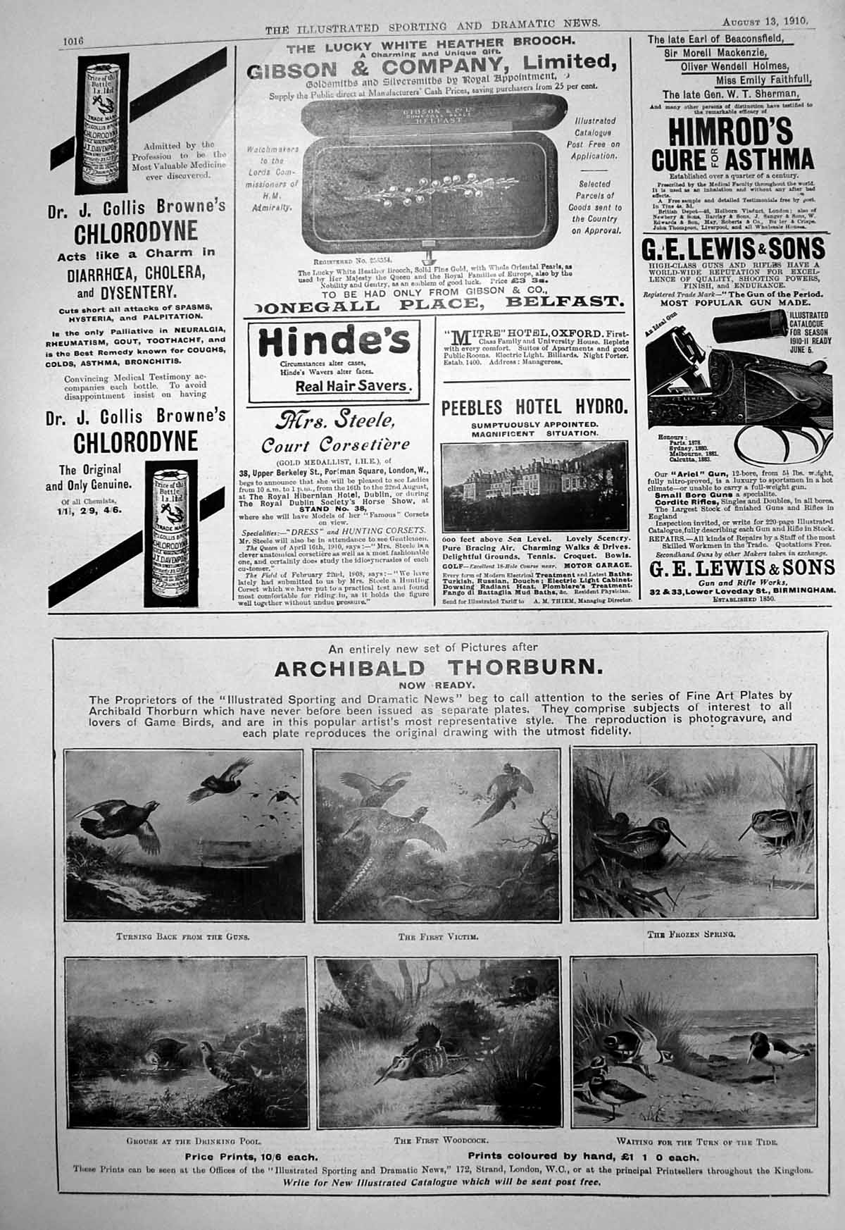 Old Archibald Thorburn Game Birds Peebles Hotel Hydro Radiol Horses19 20th