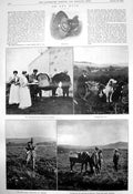 Old Print Grouse Shooting Moor Pony Stockton Races Marquis Zetland 1910 20th