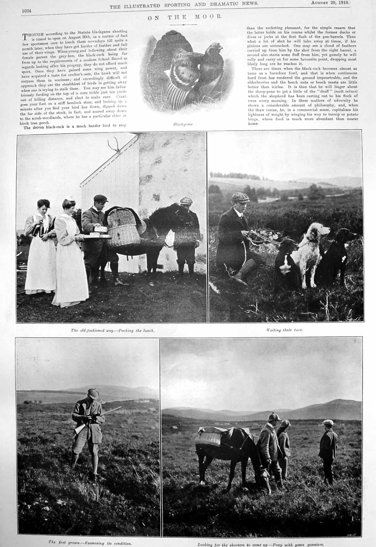 Old Print Grouse Shooting Moor Pony Stockton Races Marquis Zetland 1910 20th