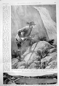 Old Emperor Austria Chamois Shooting Cricket Dover Pony Express 1910 20th
