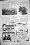 Old Hockey England Ireland Dublin Pony Show Islington Miss Preece 191 20th