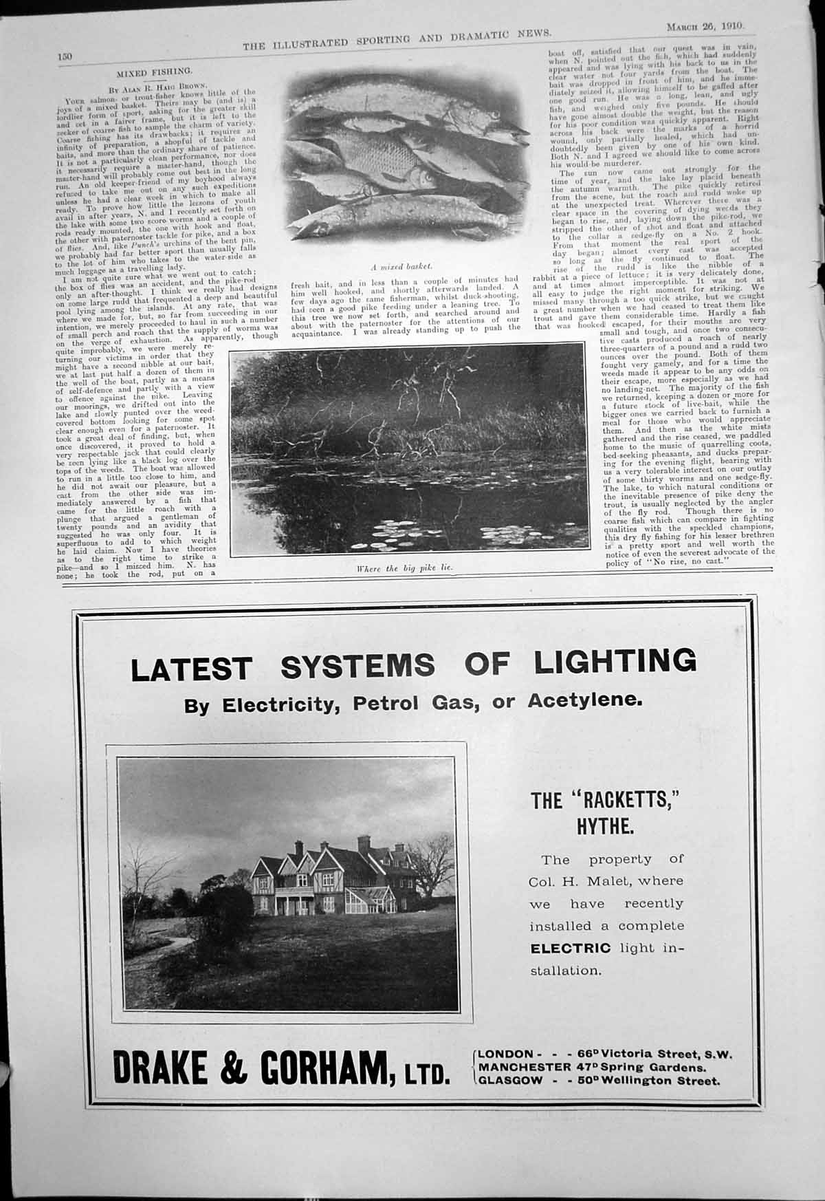 Old Print Mixed Fishing Basket Pool Pike Electric Light Drake Gorham 1910 20th