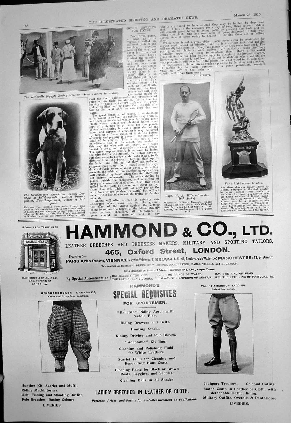 Old Capt W Wilson-Johnston Tennis Gamekeepers Dog Show Haisethorpe191 20th