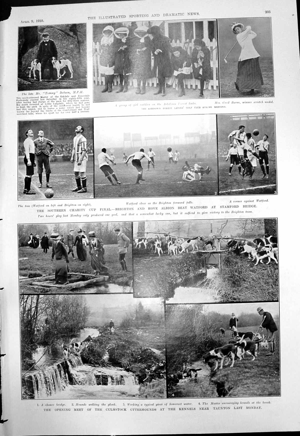 Antique Old Print Ladies Golf Brighton Hove Albion Culmstock Otterhounds 1910