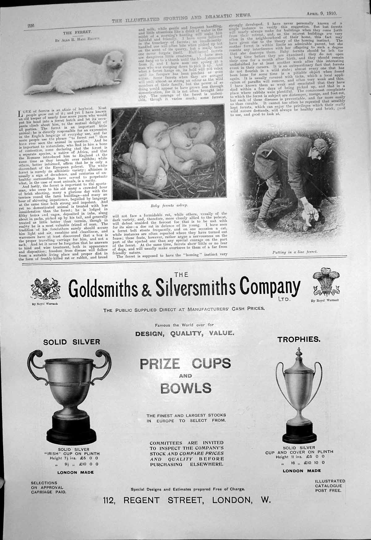 Old Print Baby Ferrets Putting Line Ferret Gsmiths Silversmiths Cups 191 20th